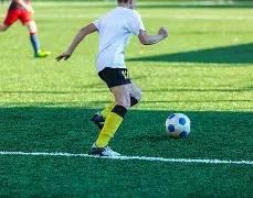 曼联购安东,尼亿金非偶,佩莱格里尼,爱游戏app,爱游戏官网,爱游戏体育官网,爱游戏体育app