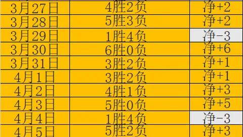 “跨界身份转换：她成为裁判员后的独特体验”